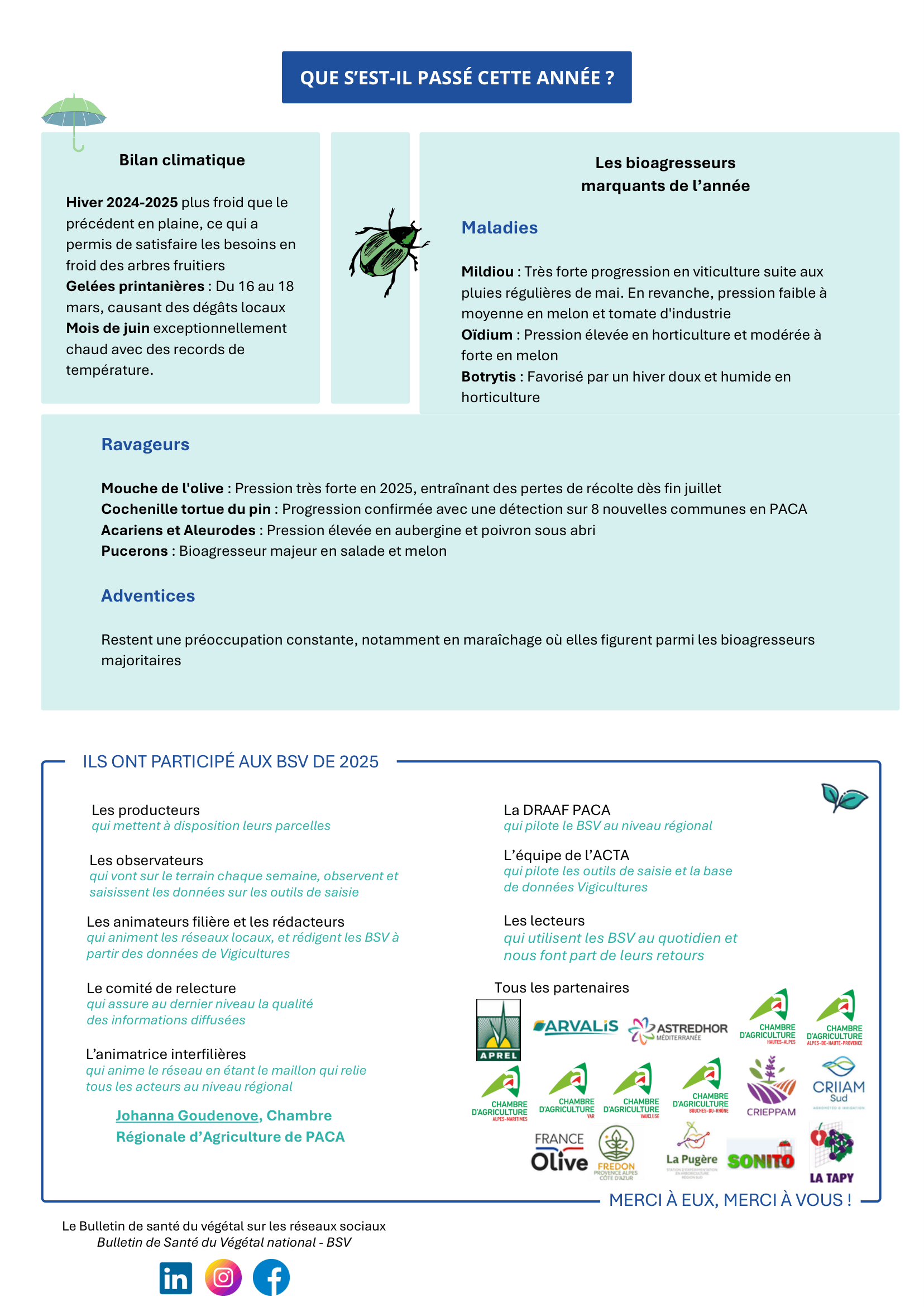 bsv bilan paca 2
