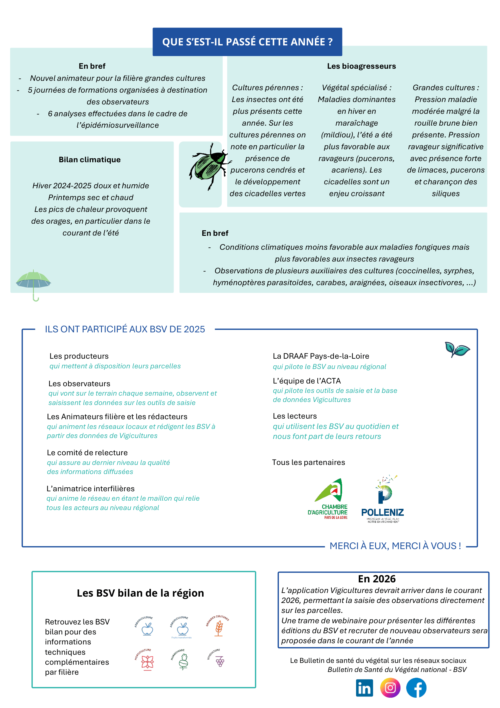 BSV bilan 2025 PDL