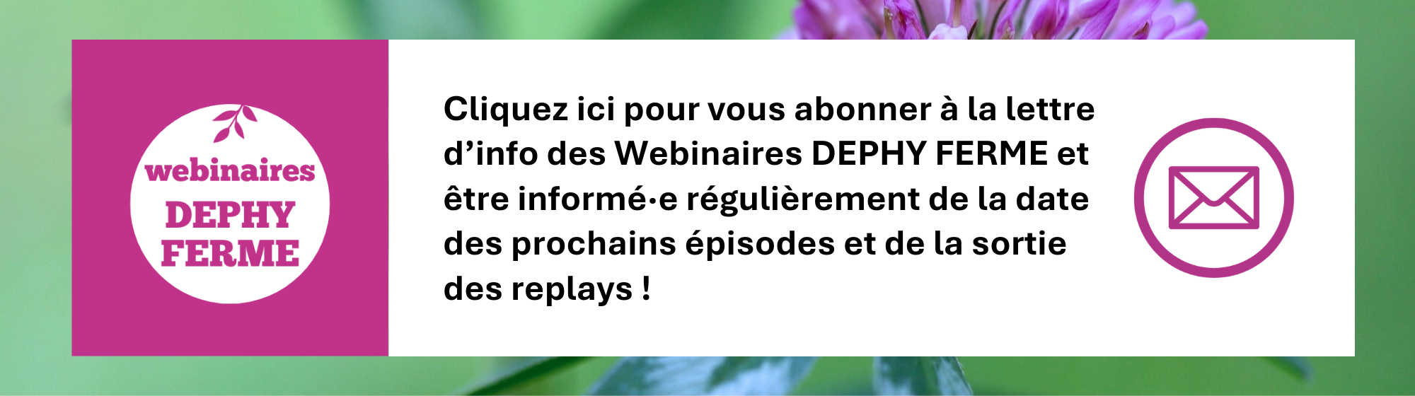 Lettre d'info WDF 