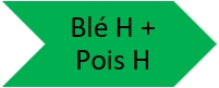 Blé d'hiver + Pois d'hiver