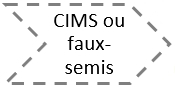 Couvert d'interculture multi-services ou faux semis