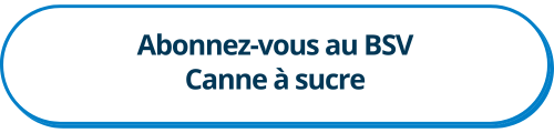 abonnement BSV canne à sucre