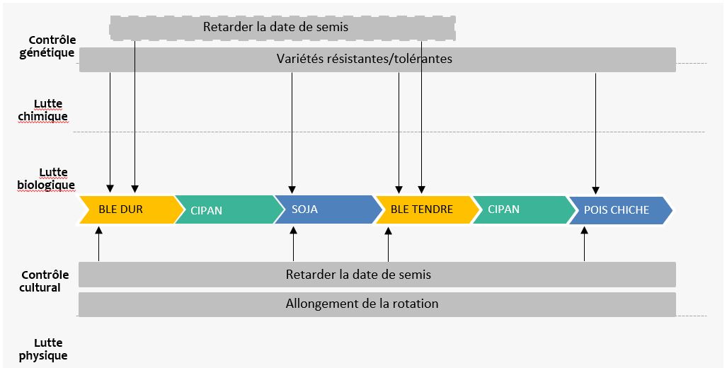 Stratégie de gestion des maladies