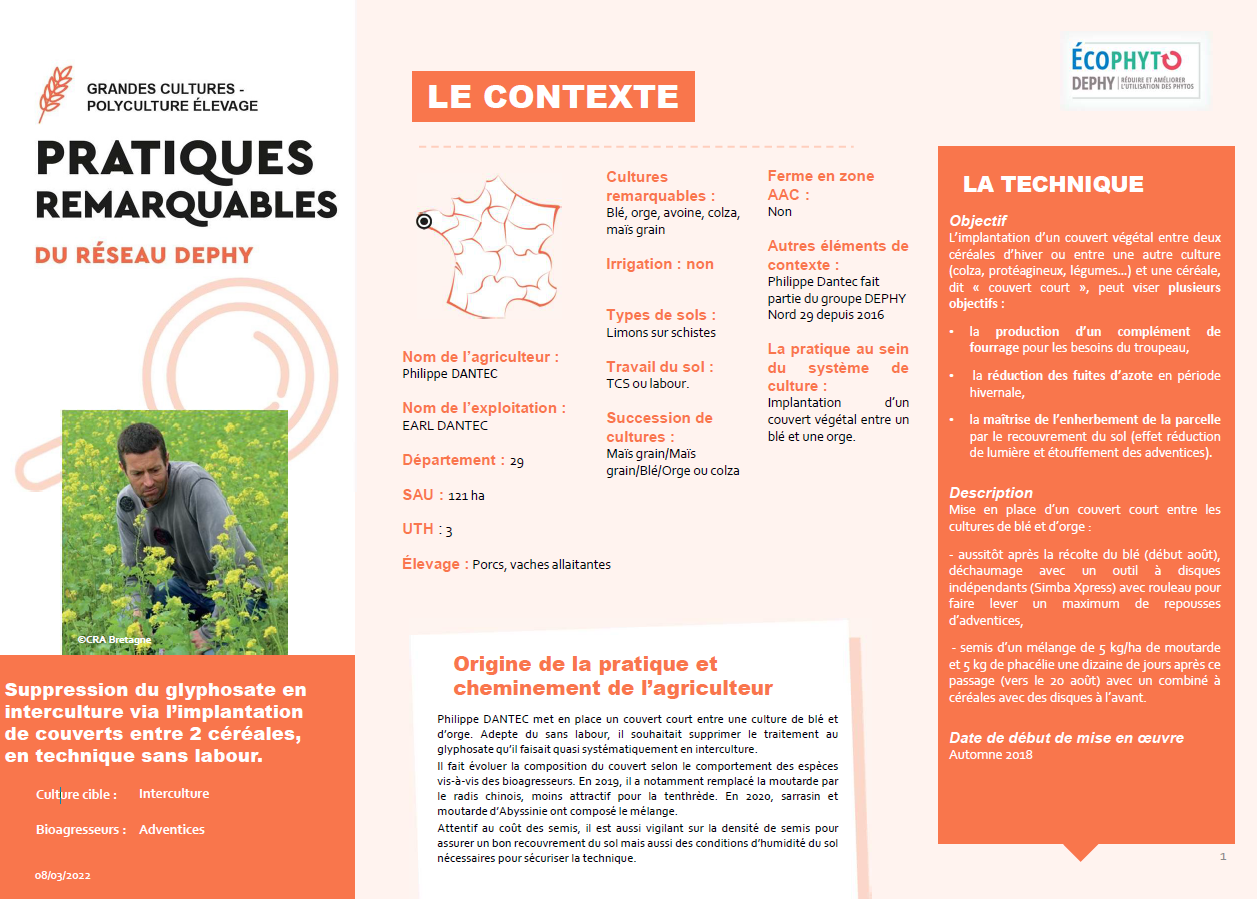 Suppression du glyphosate en interculture via l’implantation de couverts entre 2 céréales, en technique sans labour.