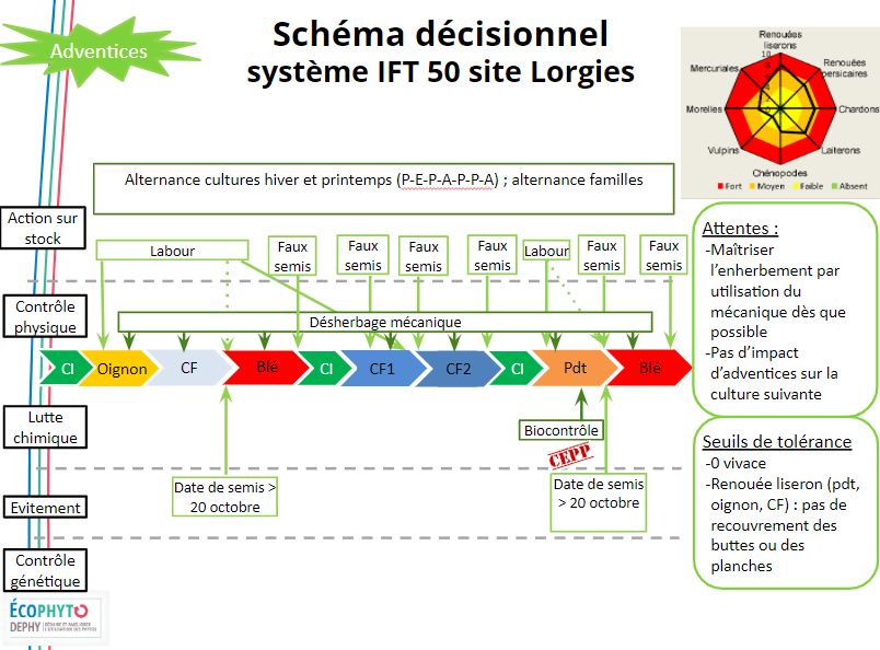 Stratégie de gestion des adventices