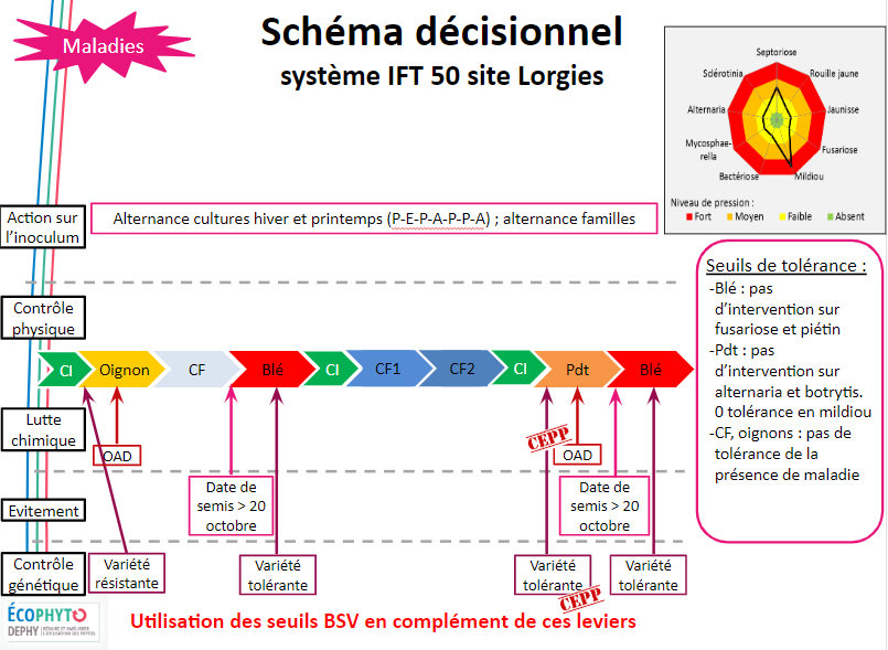 Stratégie de gestion des maladies