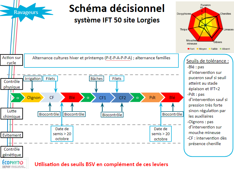 Stratégie de gestion des ravageurs