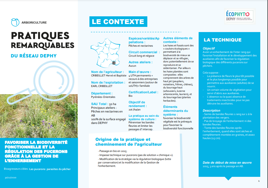 Fiche pratique remarquable