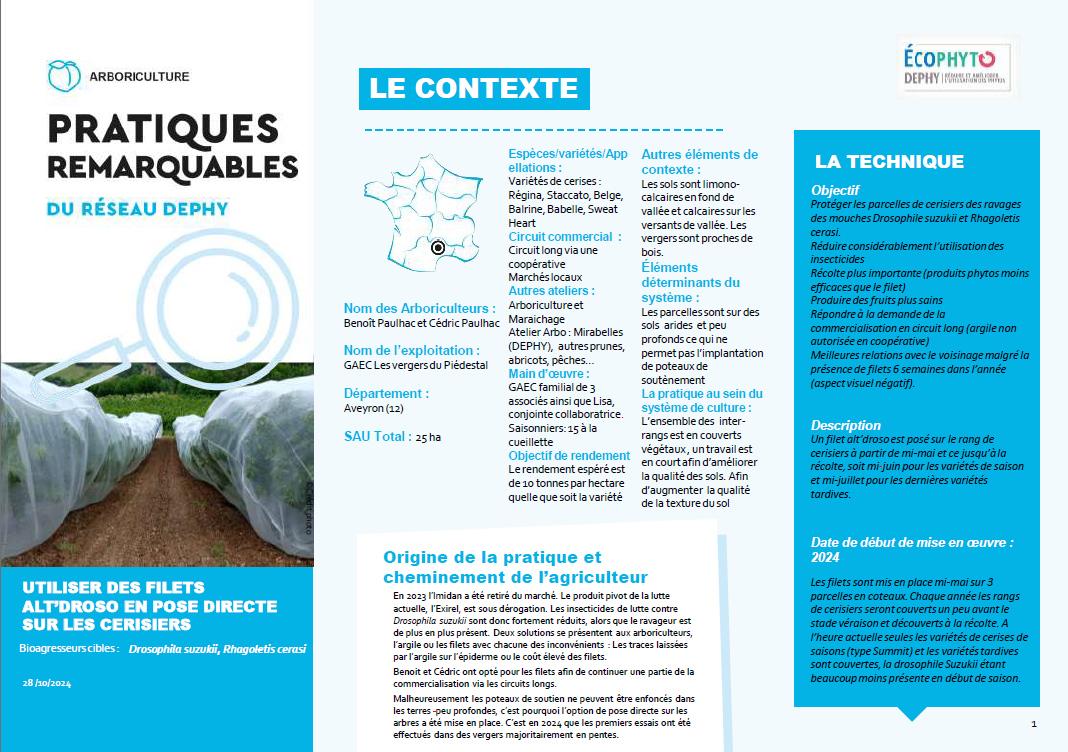 Fiche pratique
