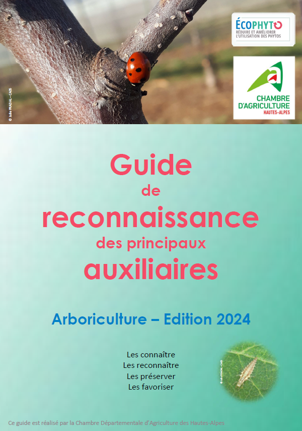 guide