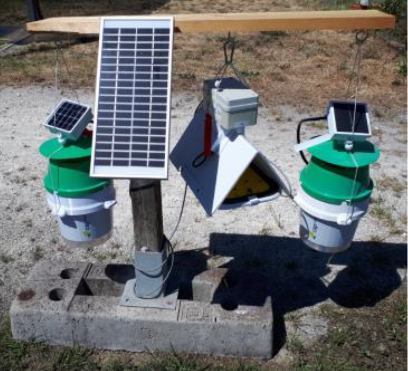 Pool de pièges sentinelles contre Cacoecimorpha pronubana et Duponchelia fovealis. Le système comprend le piège delta CapTrap® Vision et CapTrap® Entonnoir.