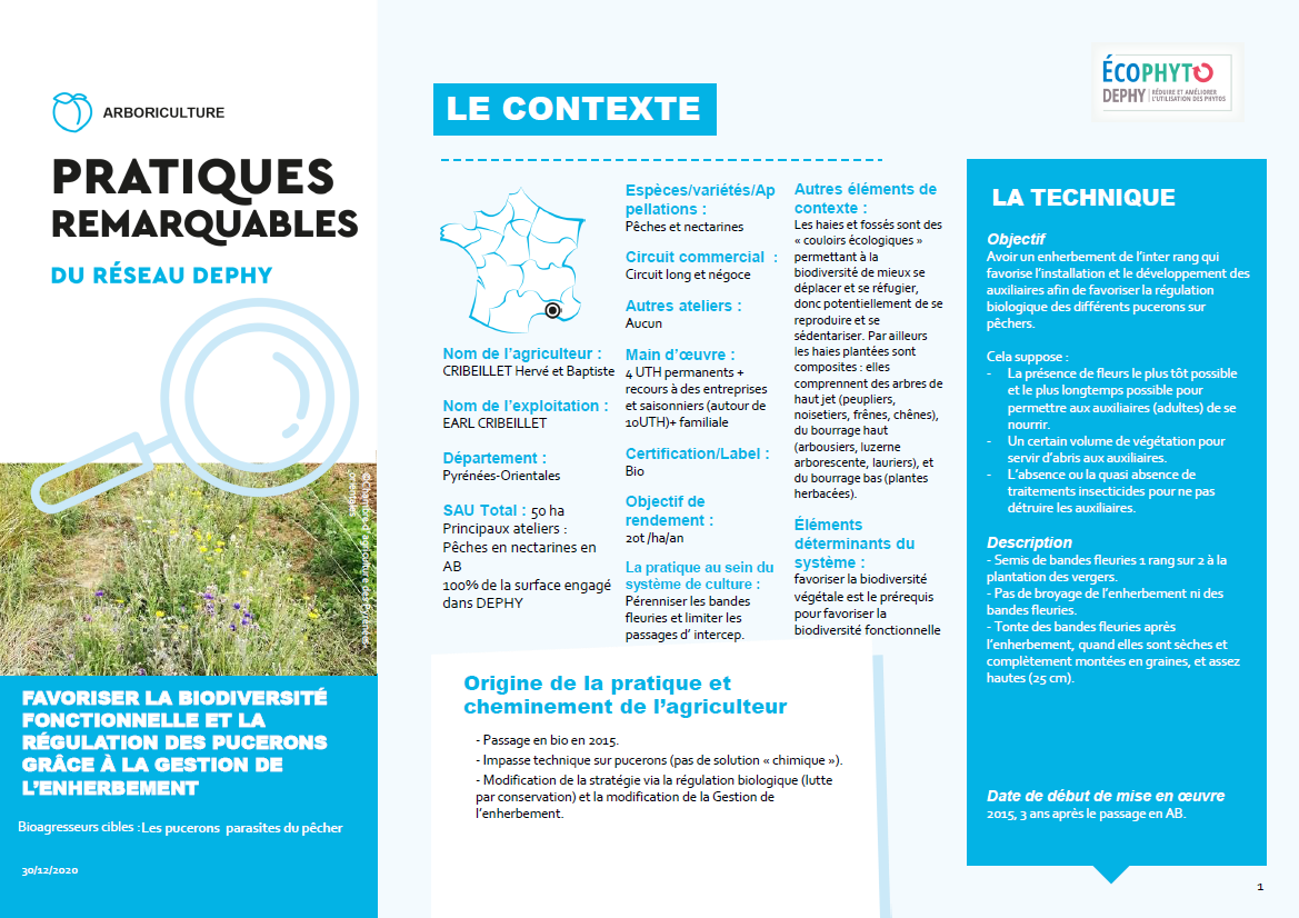 Fiche pratique