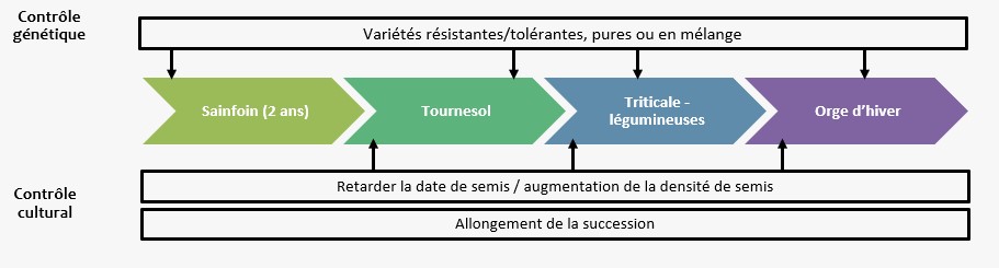 Schéma de gestion des maladies