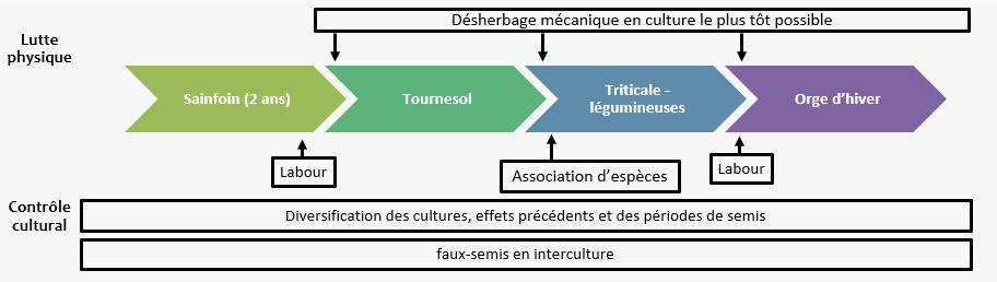 Schéma de gestion des adventices