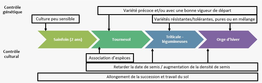 Schéma de gestion des ravageurs