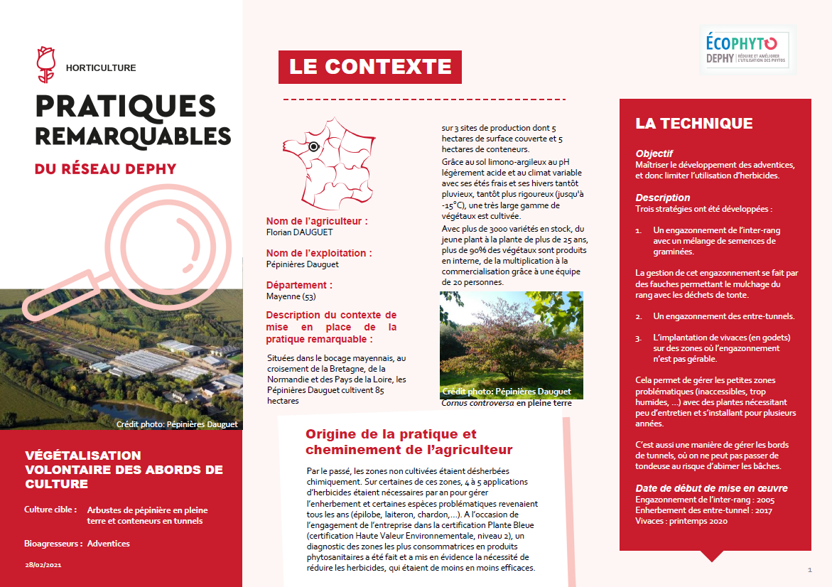 Fiche pratique remarquable