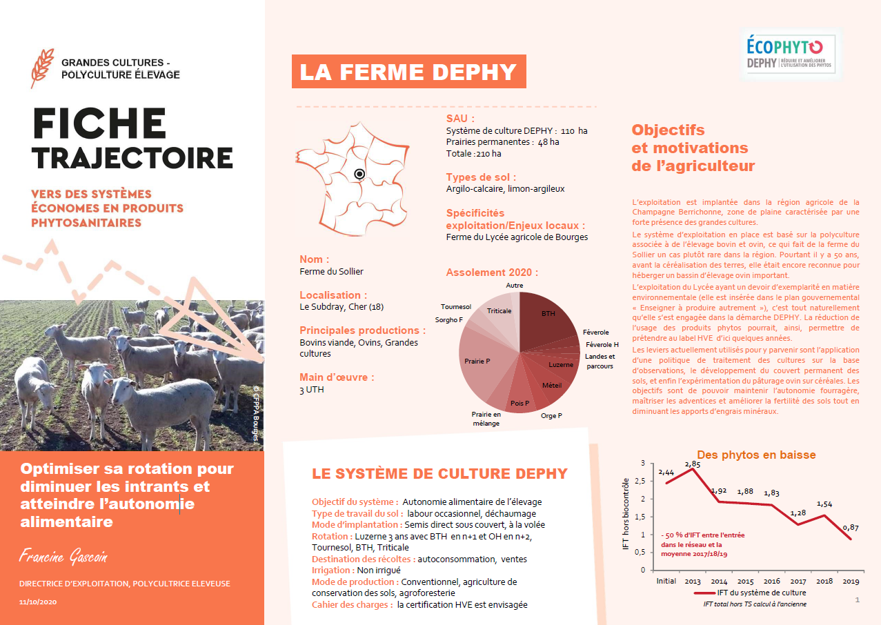 Optimiser sa rotation pour diminuer les intrants et atteindre l’autonomie alimentaire