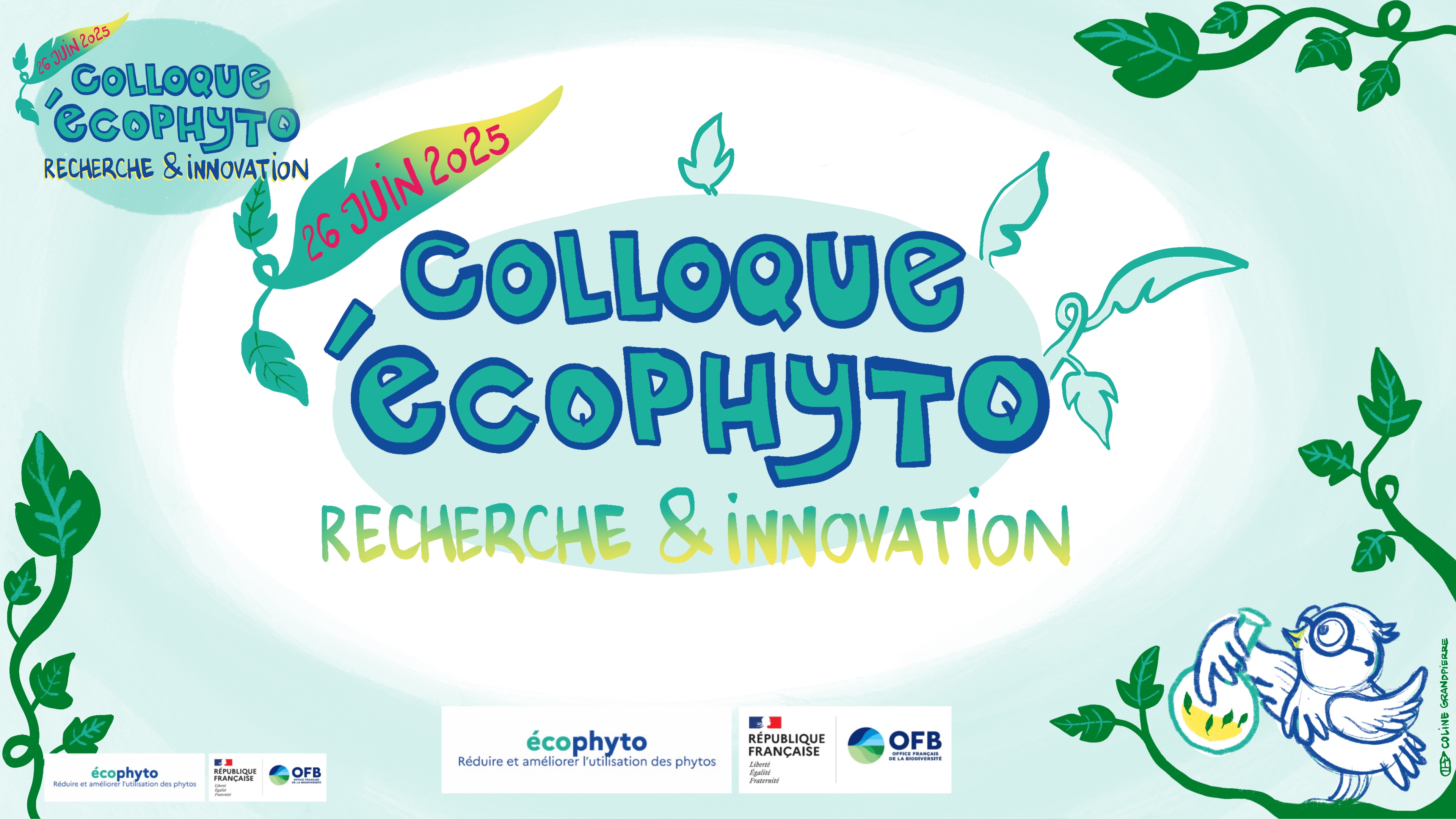 Couverture - Synthèse illustrée