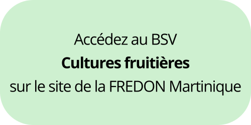 BSV Cultures fruitières Martinique
