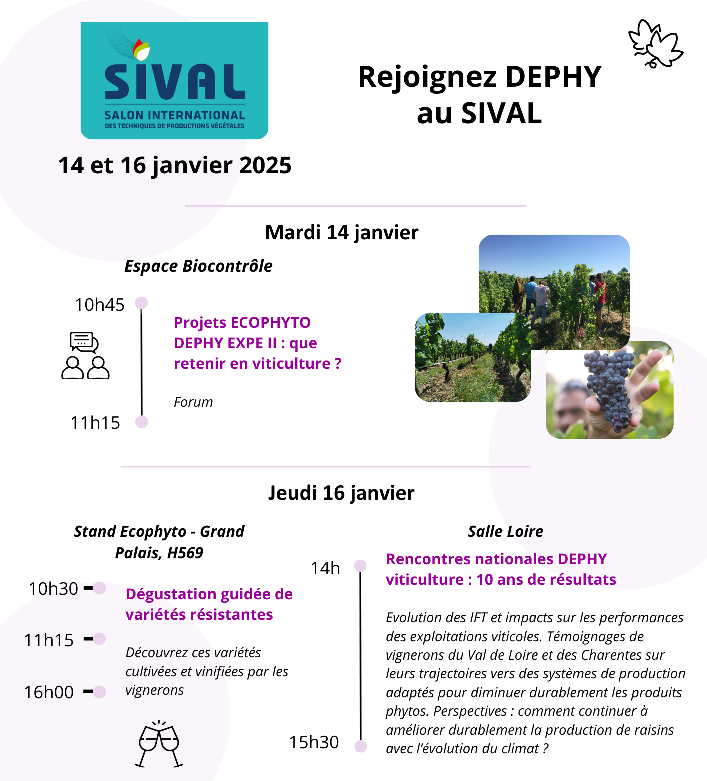 programme sival