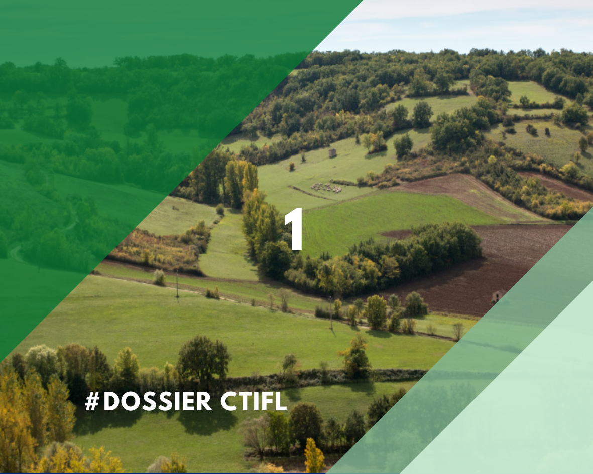 image titre 1 : agroécologie