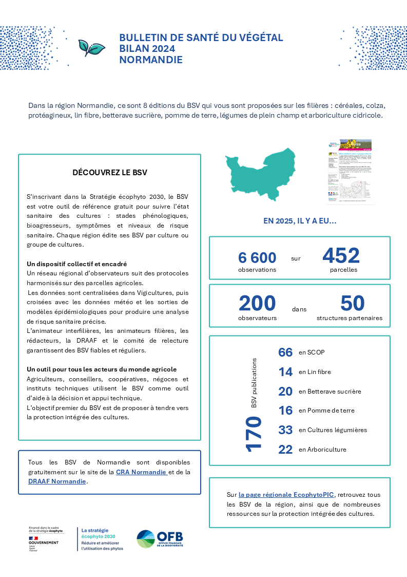 Flyer BSV bilan 2025 Normandie recto