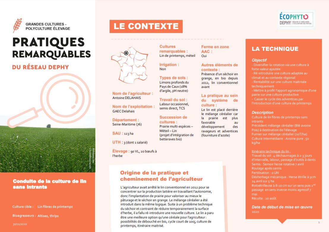 fiche