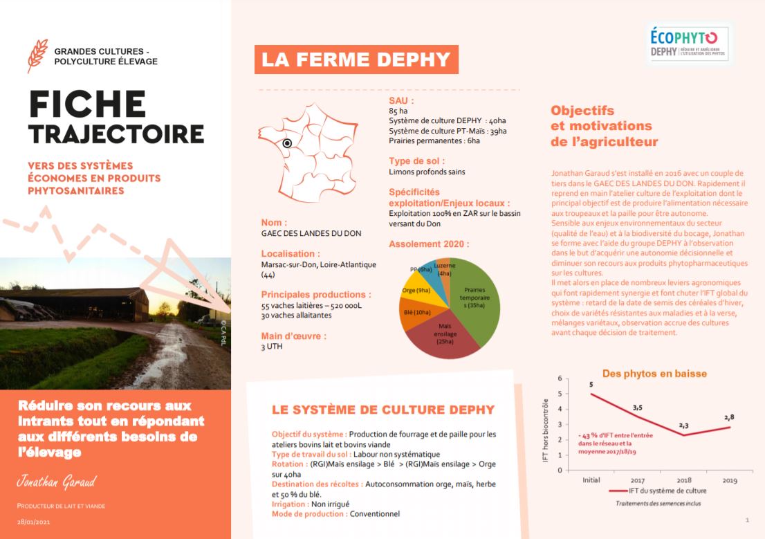 fiche