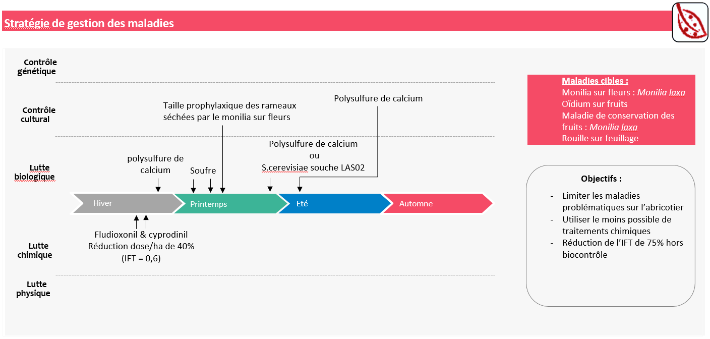 Schéma décisionnel de la stratégie de gestion des maladies