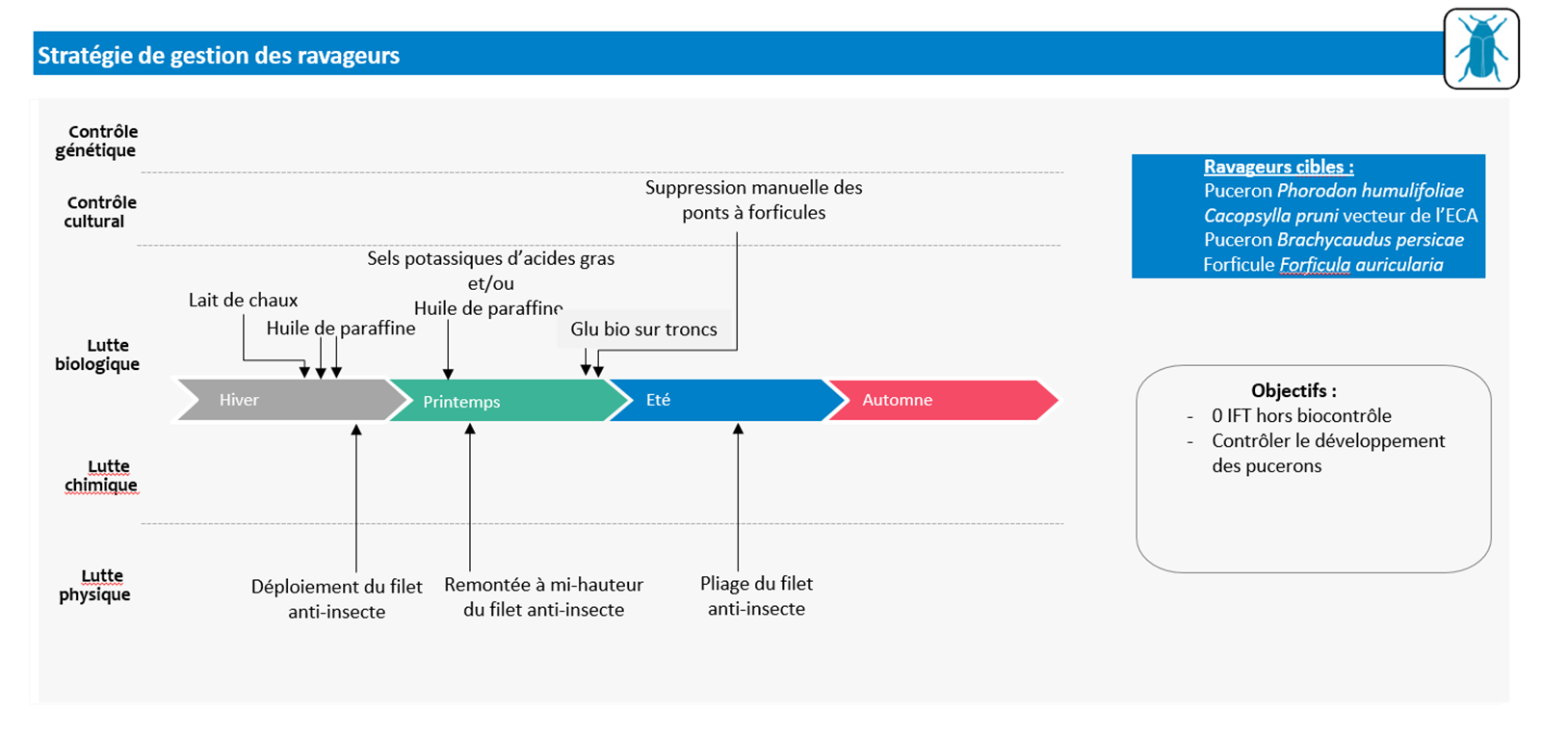 Schéma décisionnel de la stratégie de gestion des ravageurs