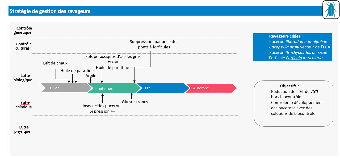 Schéma décisionnel de la stratégie de gestion des ravageurs