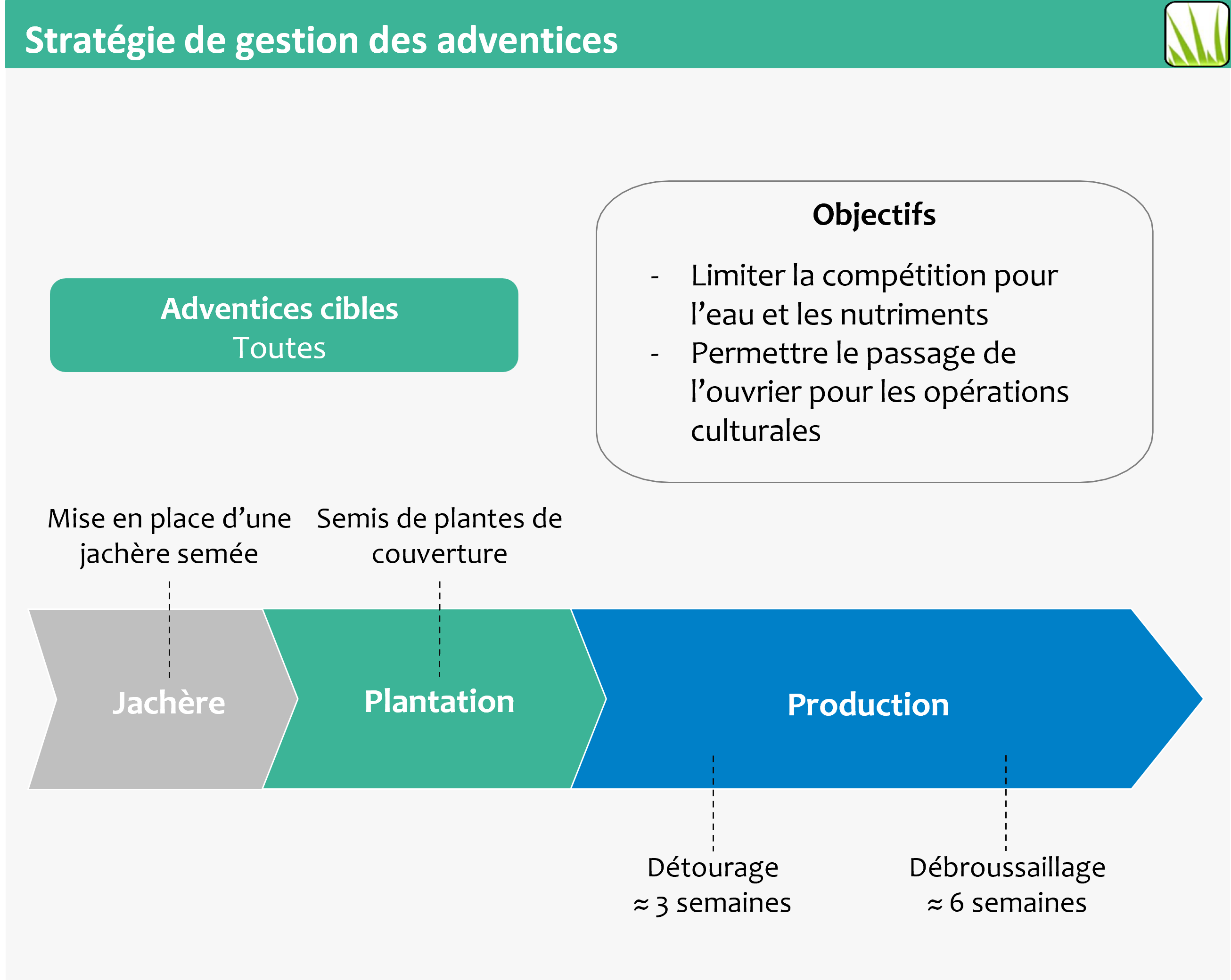 Schéma des stratégies de gestion de l'enherbement