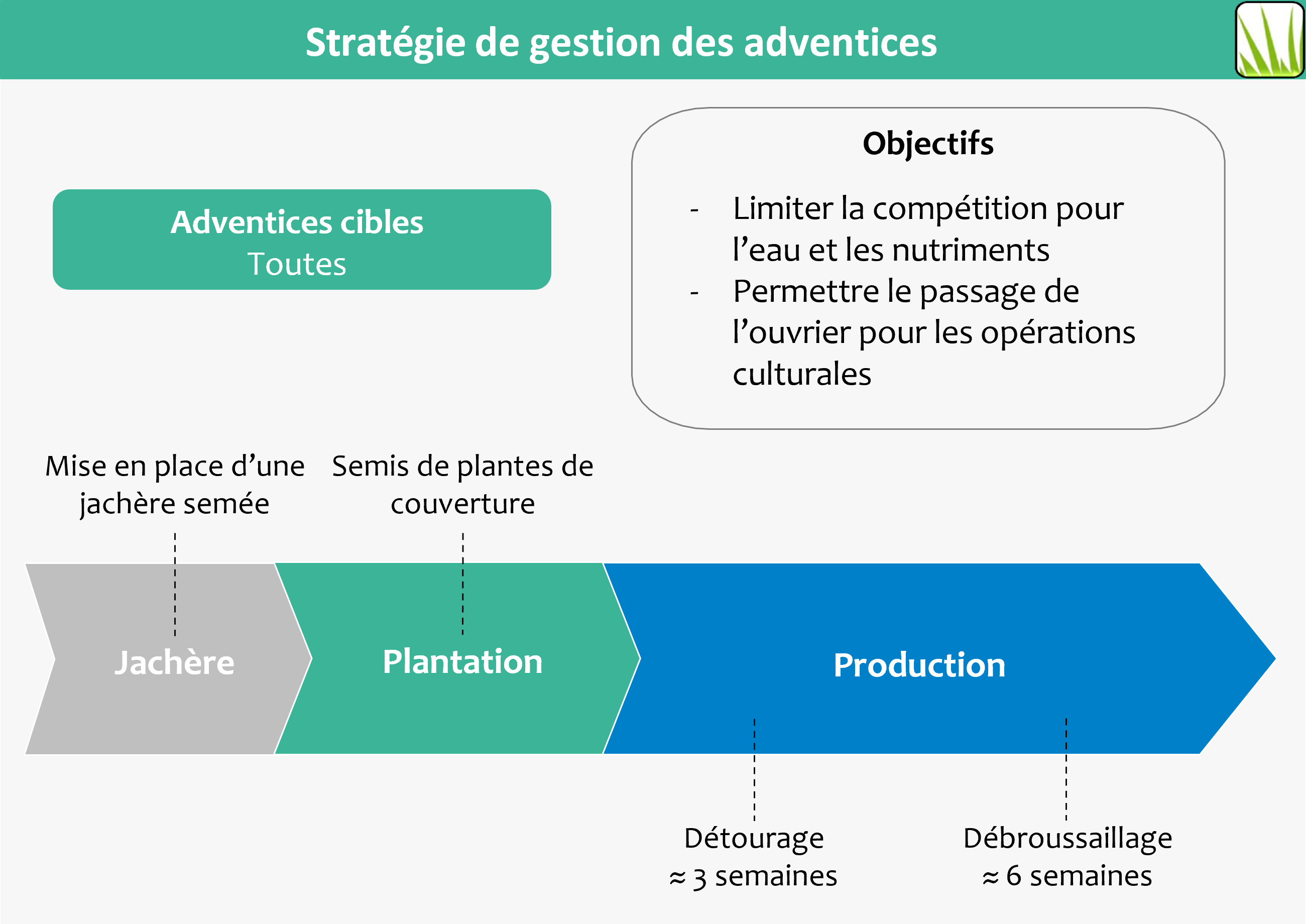 Schéma des stratégies de gestion de l'enherbement
