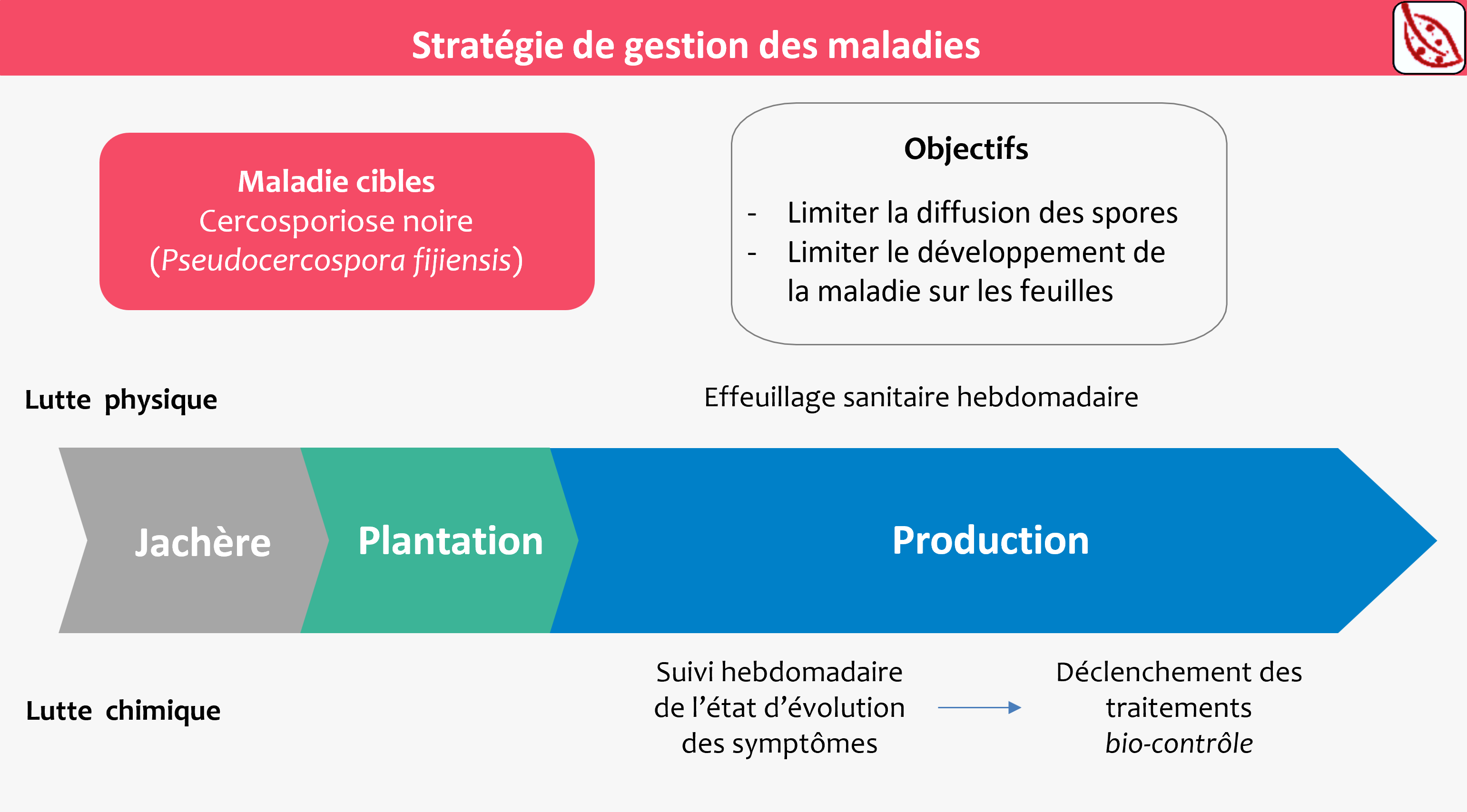 Schéma des stratégies de gestion des maladies