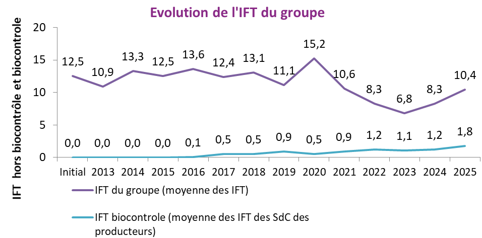 IFT moyen groupe