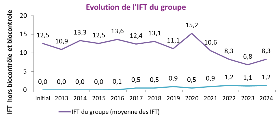 IFT du groupe
