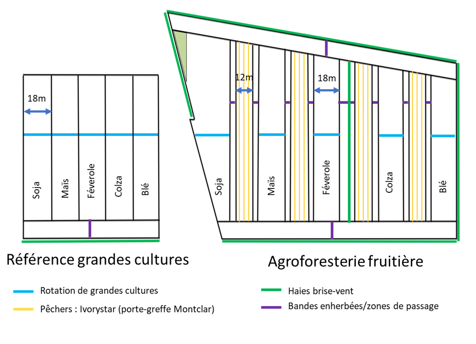 Plan parcelles TAB