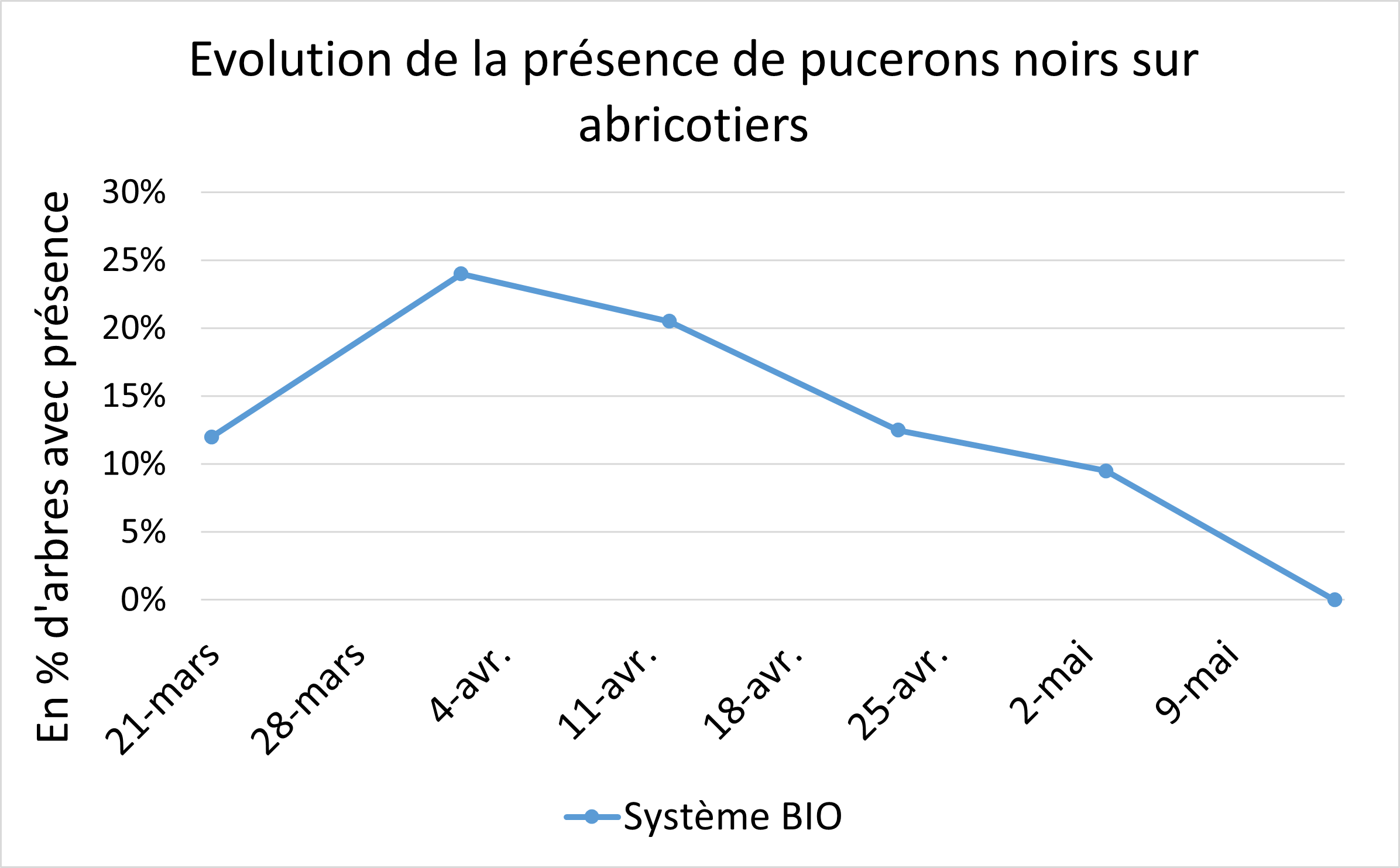 Dynamique de population du puceron noir en 2024