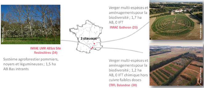 Les trois sites du projet ALTO : Restinclières, Gotheron et Balandran