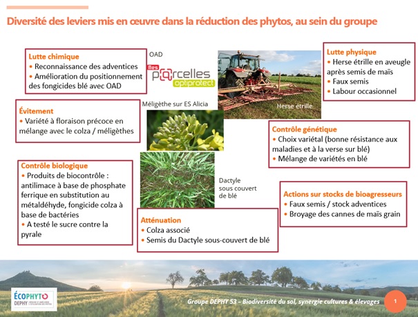 Leviers actionnés au sein du groupe