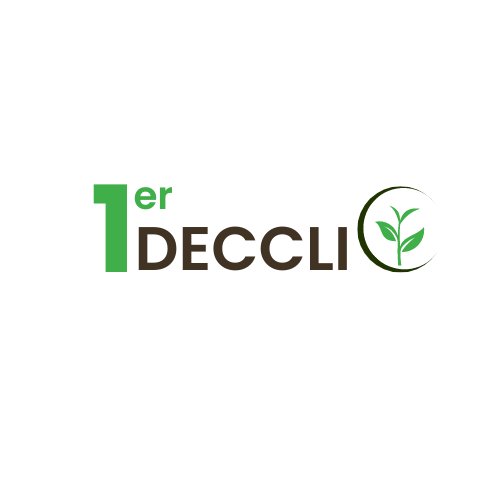 logo 1ier decclic
