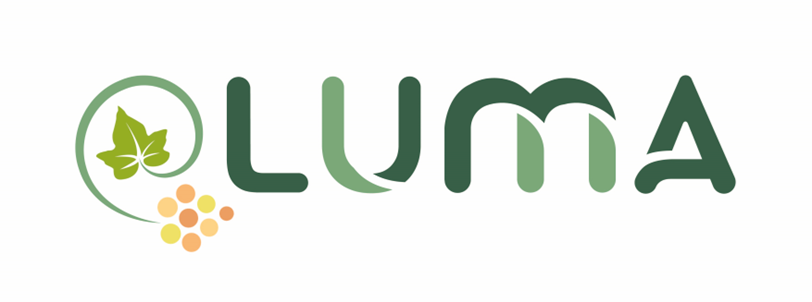 logo LUMA