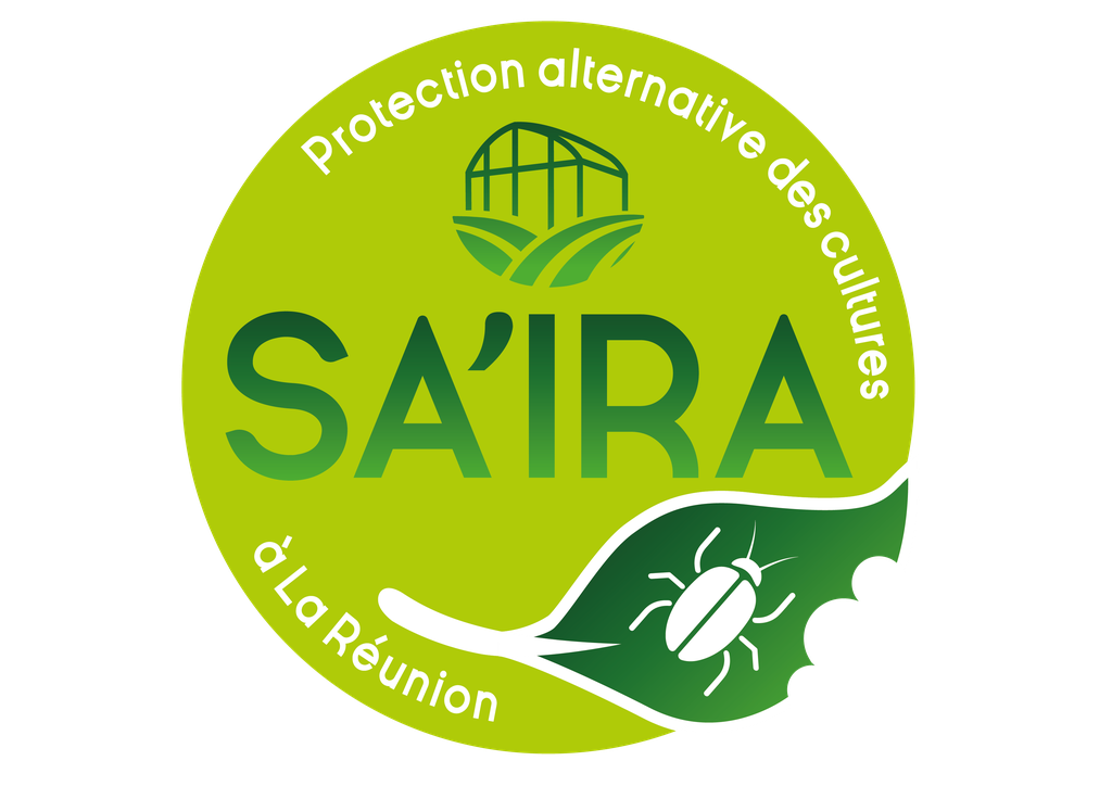 logo saira