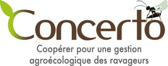 logo concerto