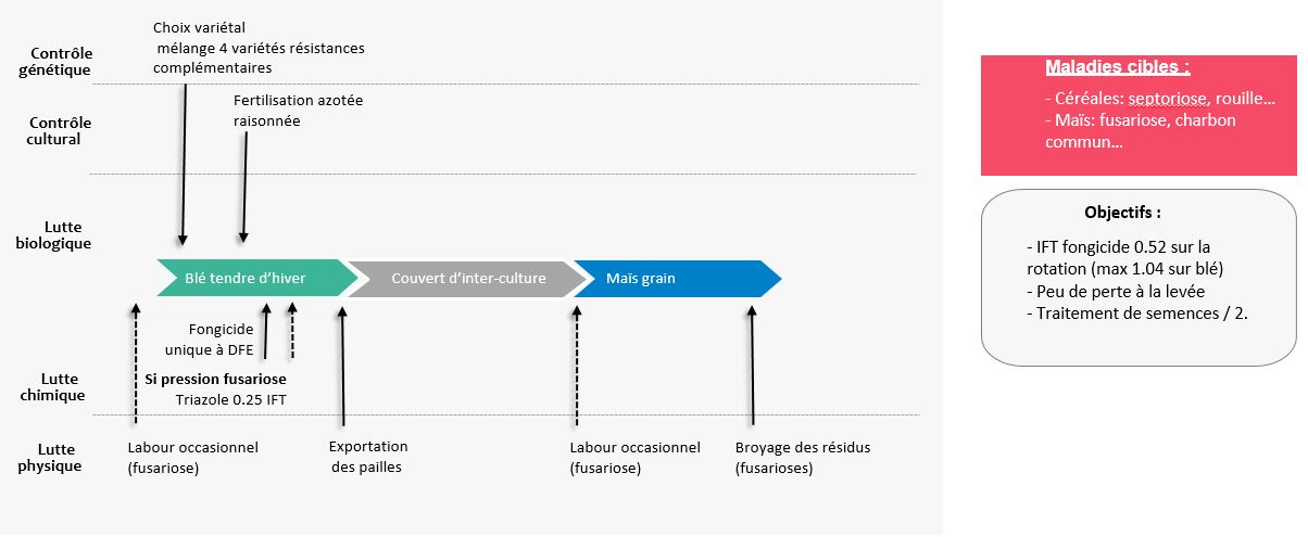 Schema decisionnel gestion des maladies
