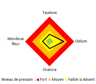 Maladies graphique