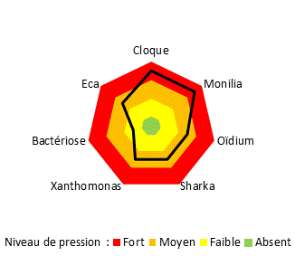 Graphique niveaux de pression maladies