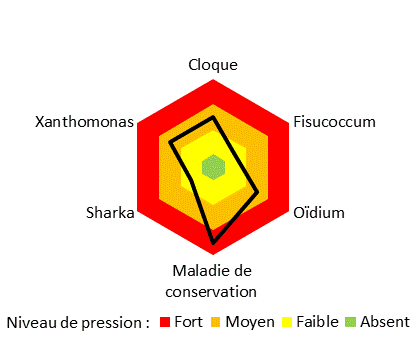 Pressions des différentes maladies sur le site SudExpé - Saint-Gilles