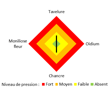 Pressions Maladies