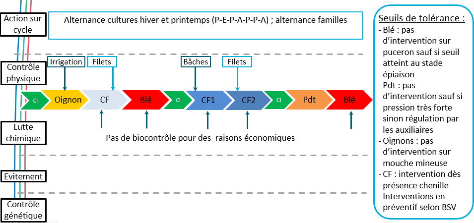 Schéma décisionnel de gestion des maladies